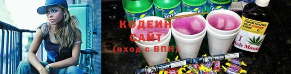 молекула духа Новозыбков