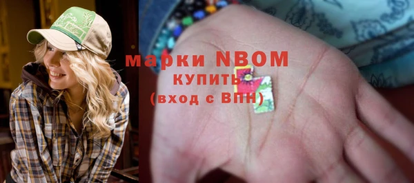 молекула духа Новозыбков