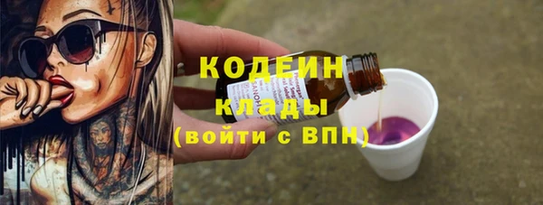 молекула духа Новозыбков