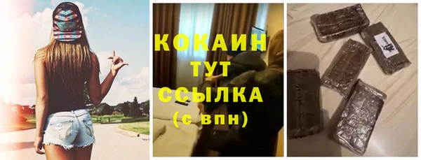 молекула духа Новодвинск