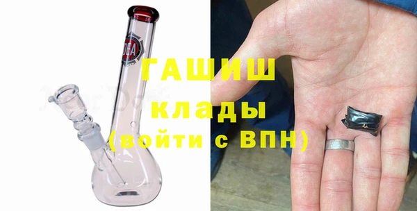молекула духа Новозыбков