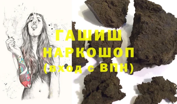 молекула духа Новозыбков