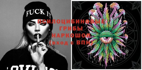 молекула духа Новозыбков