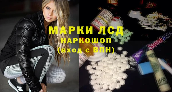 молекула духа Новозыбков