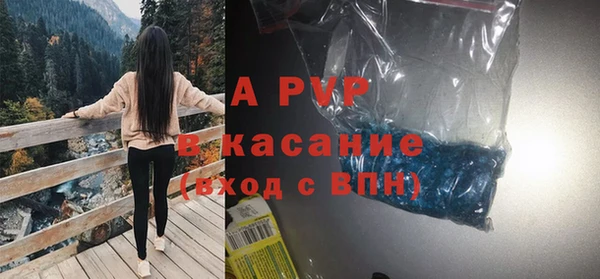 молекула духа Новодвинск
