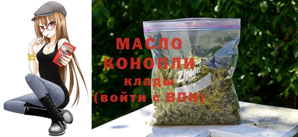 молекула духа Новозыбков