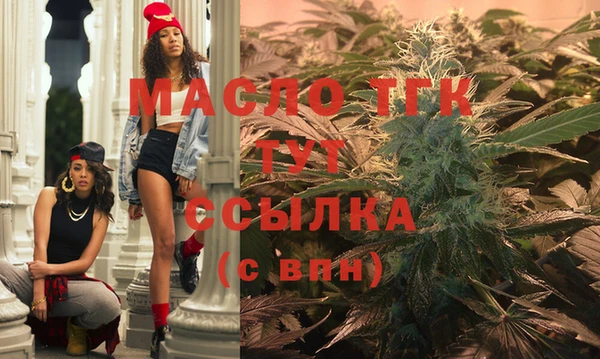 молекула духа Новозыбков