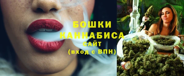 молекула духа Новозыбков