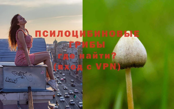 молекула духа Новодвинск
