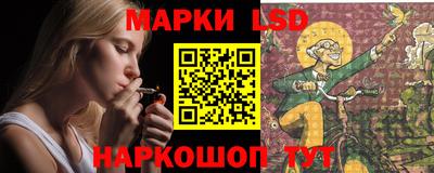 прущие грибы Гатчина