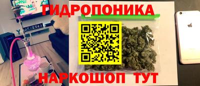 прущие грибы Гай
