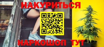 прущие грибы Гатчина