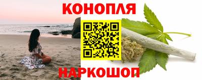 прущие грибы Гатчина