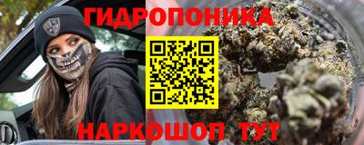 прущие грибы Гатчина