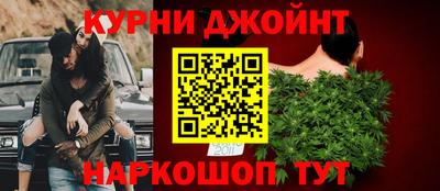 прущие грибы Гатчина