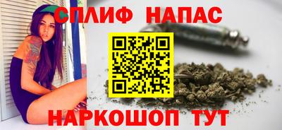 прущие грибы Гай