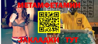 прущие грибы Гатчина