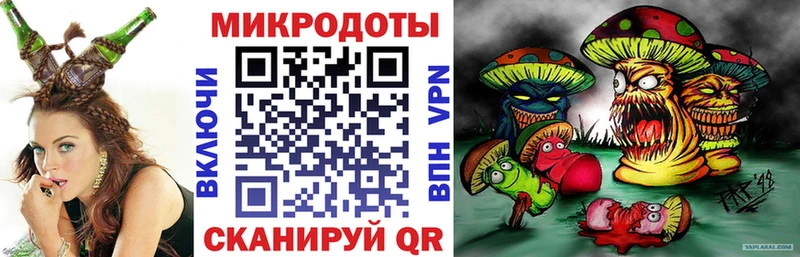 как найти закладки Ялуторовск Псилоцибиновые грибы Magic Shrooms