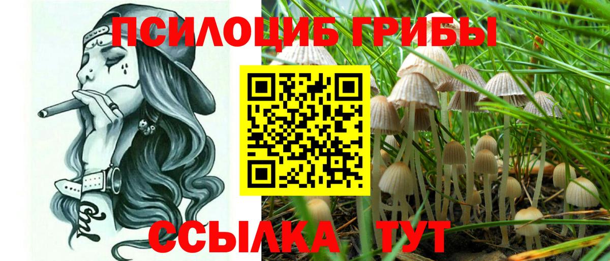 Галлюциногенные грибы Psilocybe Ялуторовск