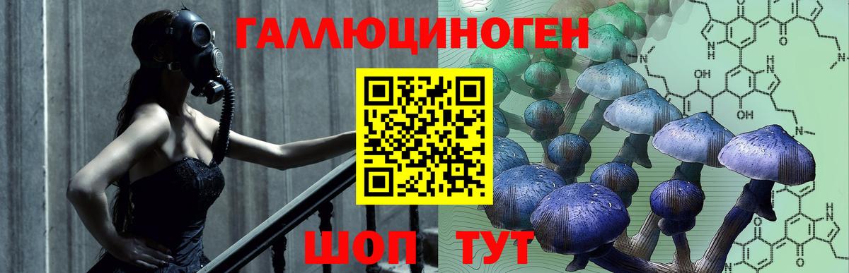 Галлюциногенные грибы мухоморы Ялуторовск