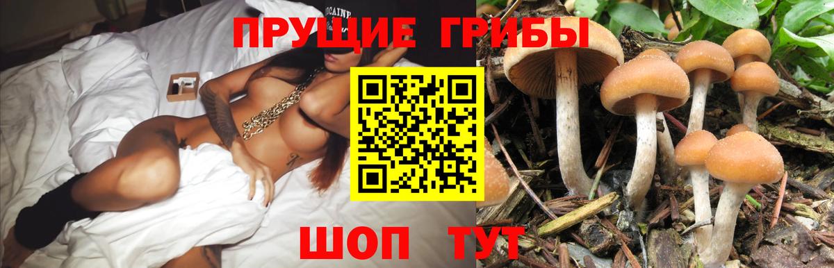 Галлюциногенные грибы Cubensis  цены наркотик  Ялуторовск 