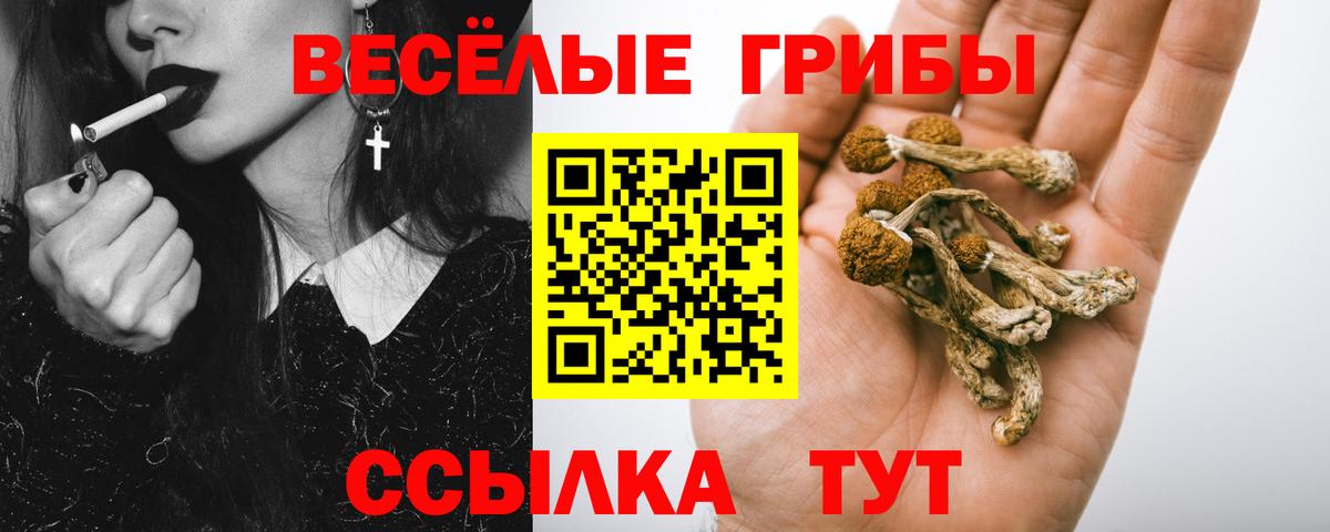 Ялуторовск  Галлюциногенные грибы Magic Shrooms  Вход с VPN 